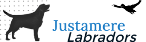 Justamere logo with the name and a silhouette of a Labrador